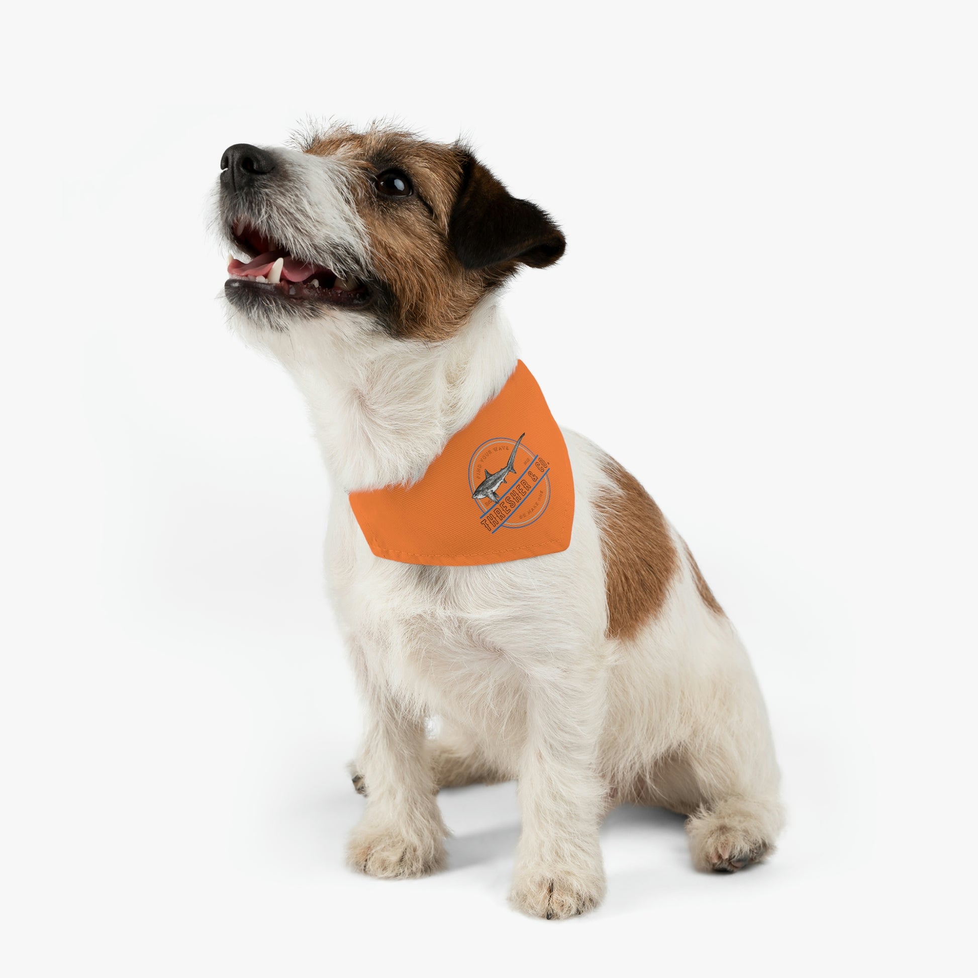 Pet Bandana Collar - Thresher & Co.